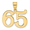14k Polished Number 65 Pendant