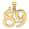 14k Polished Number 89 Pendant
