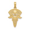14k Caduceus with Nurses Cap Pendant