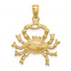 14k Large Cancer Zodiac Charm