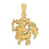 14k Large Aquarius Zodiac Charm