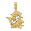 14k Large Pisces Zodiac Charm