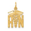 14k Diamond-cut RN Registered Nurse Charm