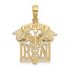 14k RN Registered NURSE Charm