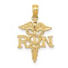 14k Polished R.N. Registered Nurse Pendant
