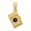 14K Brushed Polished and Enameled Camera Pendant