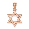 14K Rose Gold Polished Star of David Pendant
