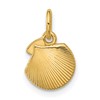 14K Polished Textured Seashell Pendant