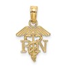 14K RN Registered Nurse Caduceus Charm