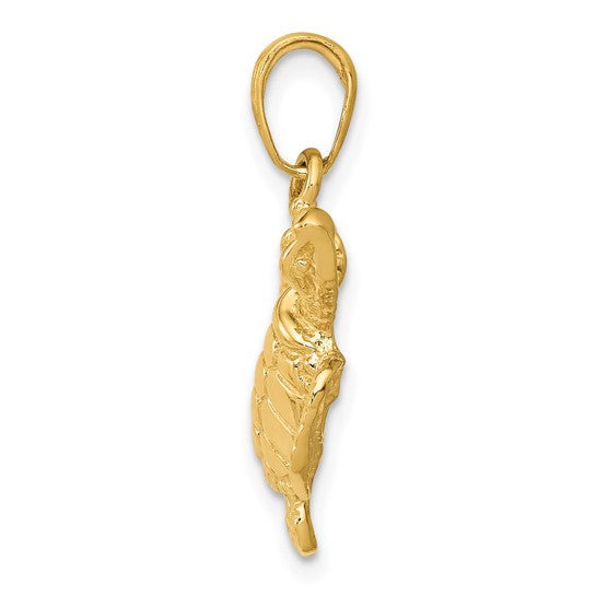 14k Gold Sea Turtle Pendant