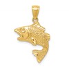 14k Polished Textured Bass Fish Pendant