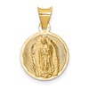 14K Polished Diamond-cut Semi-solid Our Lady Of Guadalupe Round Pendant