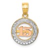 14k Two-tone with White Rhodium CZ 15 in Circle Pendant