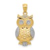 14K and White Rhodium Polished and Textured Owl Pendant