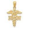 14k Diamond-cut Polished RN Registered Nurse Pendant