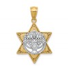 14K Two-Tone Fancy Star Of David and Menorah Pendant