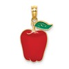 14K Enameled Red Delicious Apple with Stem and Leaf Charm