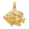 14K 2-D Polished Textured Butterfly Fish Charm