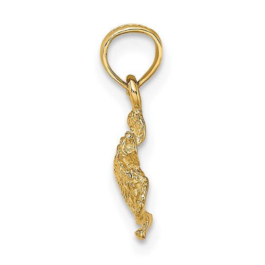 14K Gold Textured Sea Turtle Charm