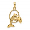 14K Medium Polished Dolphin Jumping Through Hoop Charm