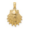 14K Lion's Paw Shell Charm