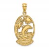 14K ARUBA with Dolphin Sunset In Frame Charm