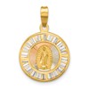14K with Rose and White Rhodium Polished Baguette CZ Our Lady of Guadalupe Round Pendant