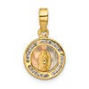 14K with Rose and White Rhodium Polished CZ Our Lady of Guadalupe Round Pendant