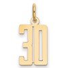 14k Small Elongated Number 30 Charm