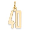 14k Small Elongated Number 40 Charm