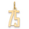 14k Small Elongated Number 75 Charm
