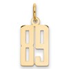 14k Small Elongated Number 89 Charm