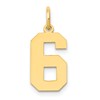 14k Medium Polished Number 6 Charm
