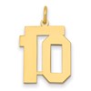 14k Medium Polished Number 10 Charm