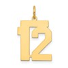 14k Medium Polished Number 12 Charm