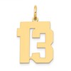 14k Medium Polished Number 13 Charm