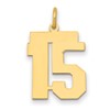 14k Medium Polished Number 15 Charm