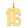 14k Medium Polished Number 16 Charm