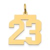 14k Medium Polished Number 23 Charm