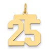 14k Medium Polished Number 25 Charm
