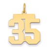 14k Medium Polished Number 35 Charm