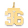 14k Medium Polished Number 36 Charm