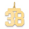14k Medium Polished Number 38 Charm