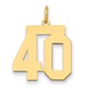 14k Medium Polished Number 40 Charm