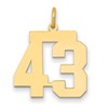 14k Medium Polished Number 43 Charm