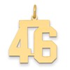 14k Medium Polished Number 46 Charm