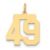 14k Medium Polished Number 49 Charm