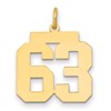 14k Medium Polished Number 63 Charm