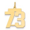 14k Medium Polished Number 73 Charm
