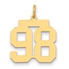 14k Medium Polished Number 98 Charm